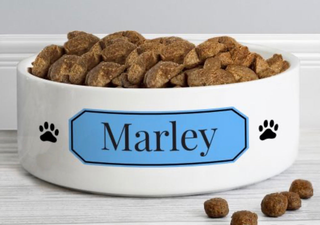 Personalised Blue Plaque 15cm Medium Pet Bowl