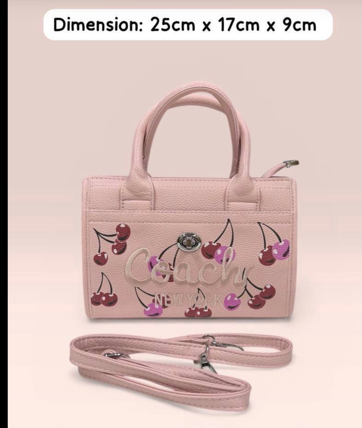 Cherry Mini Handbag