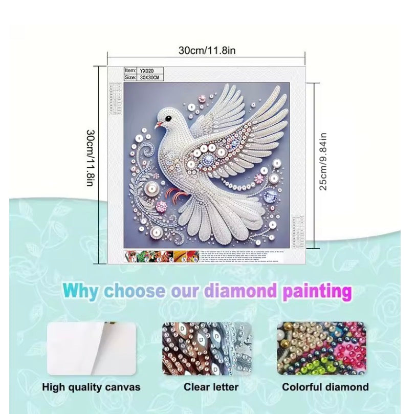Pigeon Themed Diamond Painting Set