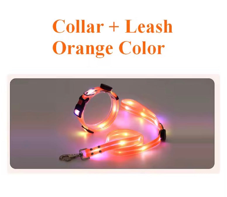 Dog LED Light UP Leash