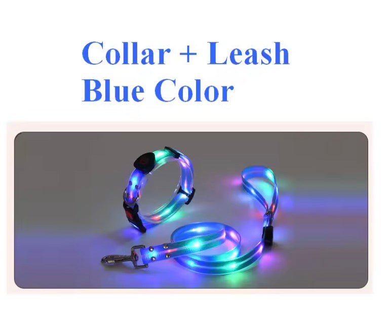 Dog LED Light UP Leash