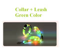 Dog LED Light UP Leash