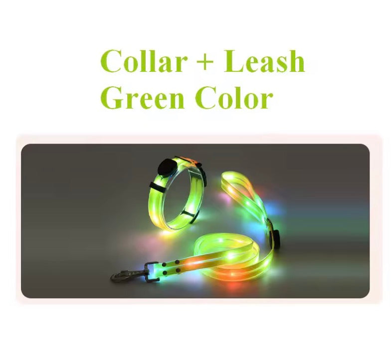 Dog LED Light UP Leash