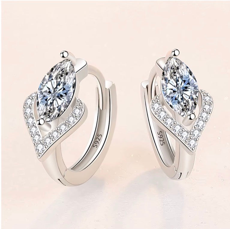 925 Sterling Silver Shining Zircon Earrings