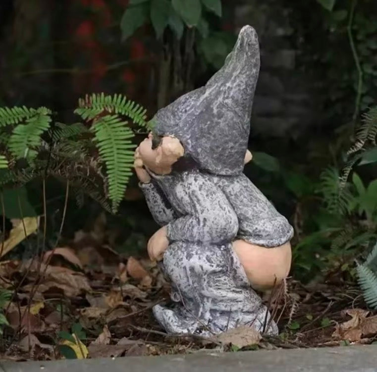 Funny Gnome Statue