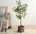 Olive Tree in Basket, Green - 110cm