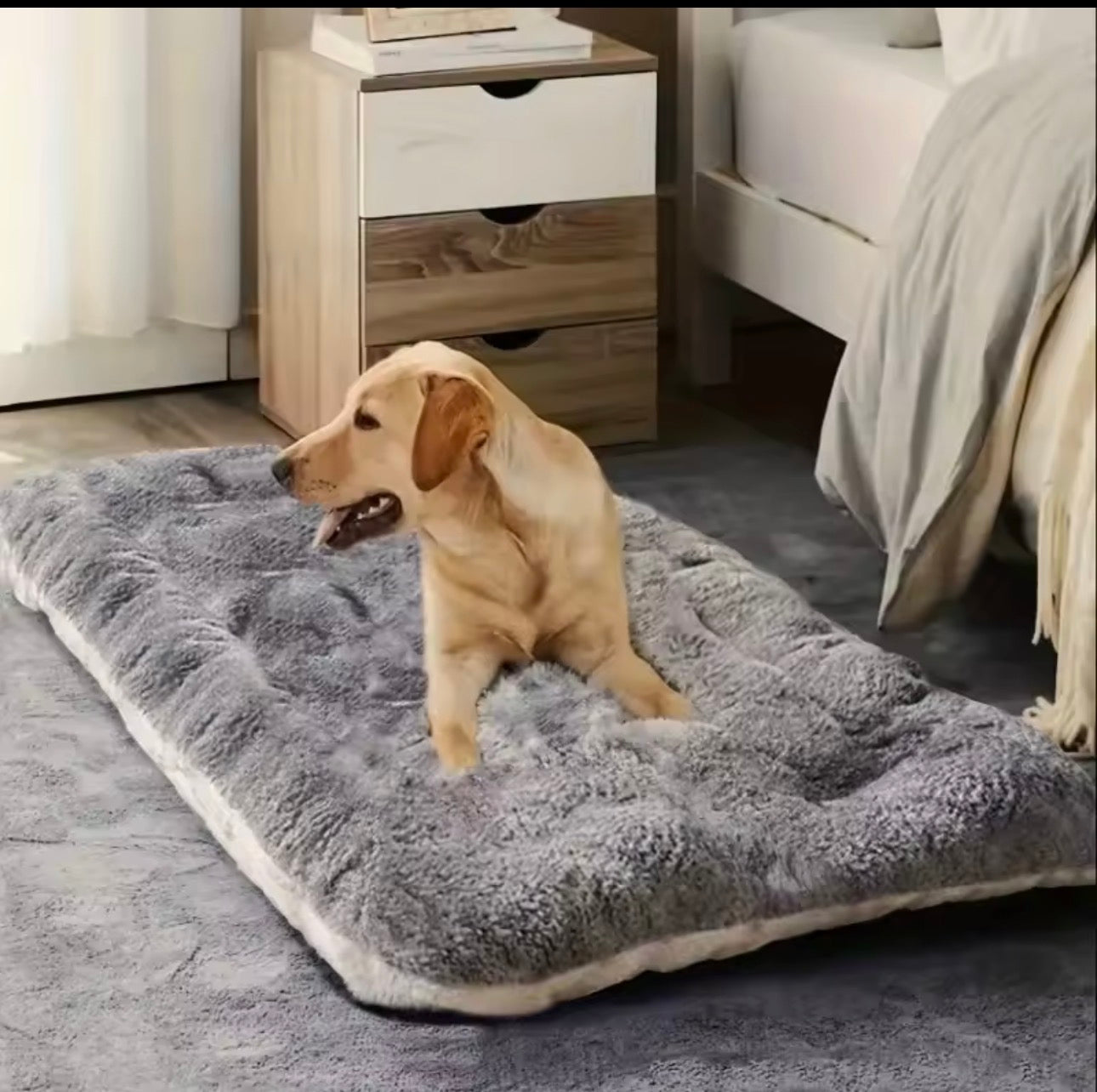 Luxury Plush Pet Bed – ultimate Comfort for Dogs & Cats.