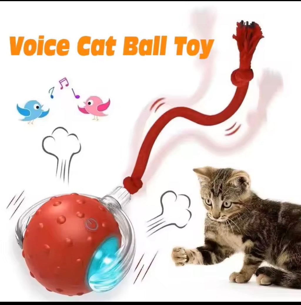 Interactive Voice Cat Ball Toy