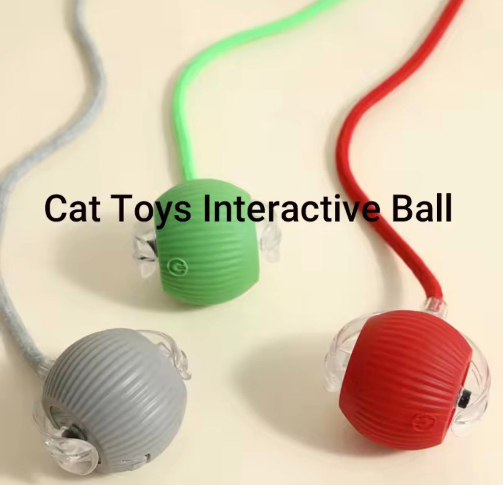Interactive Voice Cat Ball Toy