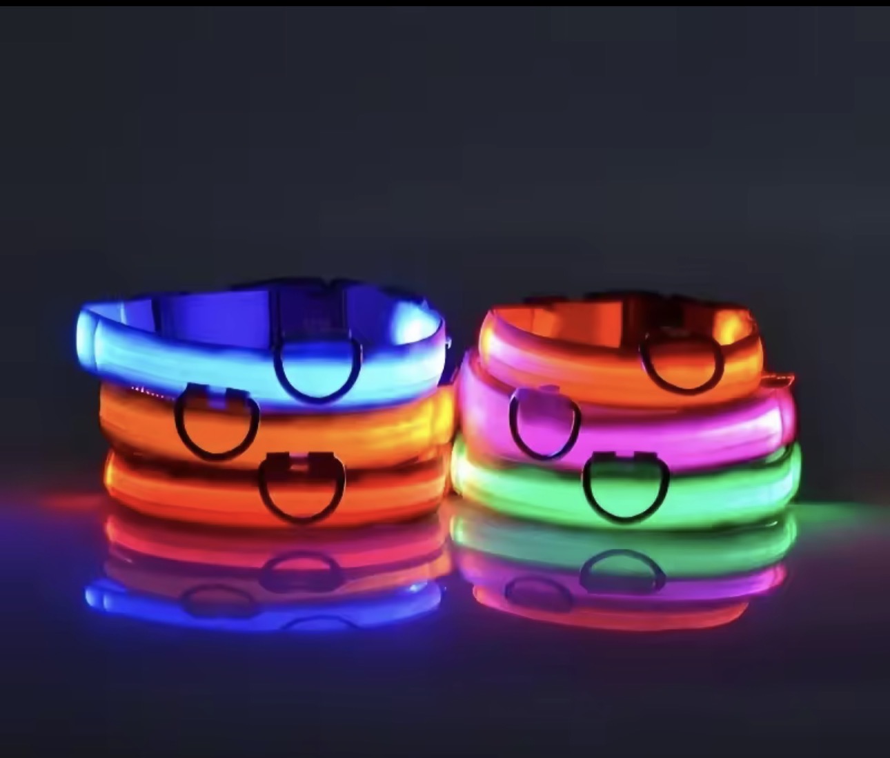 Dog Collar Nylon LED