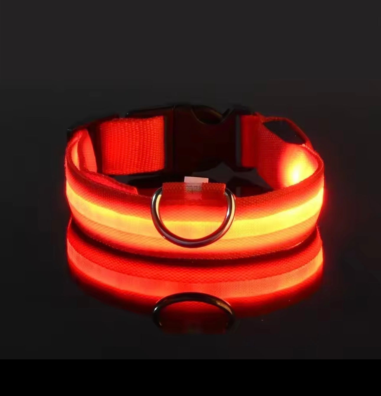 Dog Collar Nylon LED