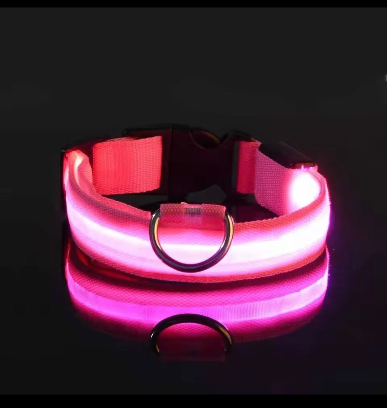 Dog Collar Nylon LED