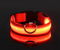 Dog Collar Nylon LED