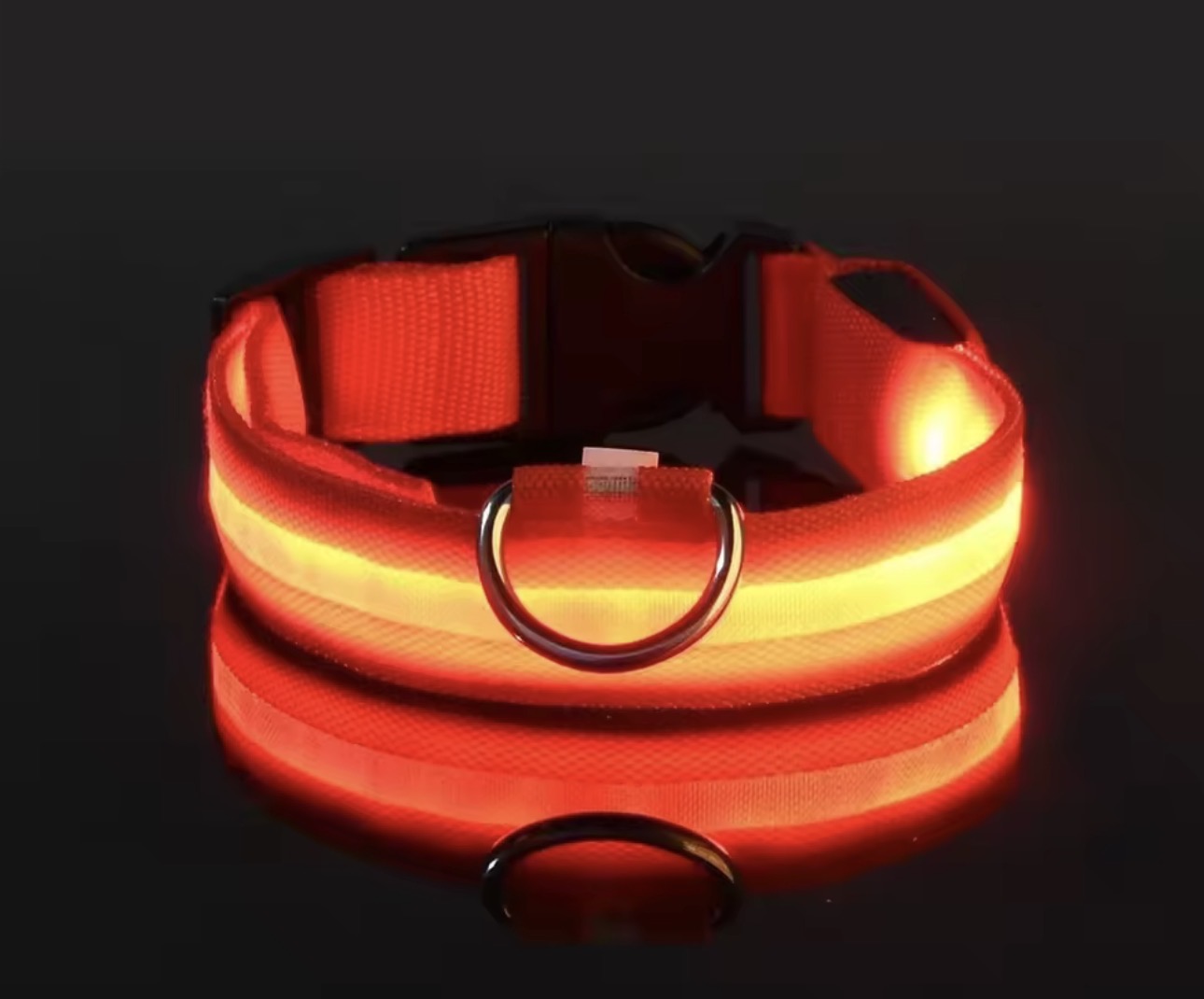 Dog Collar Nylon LED