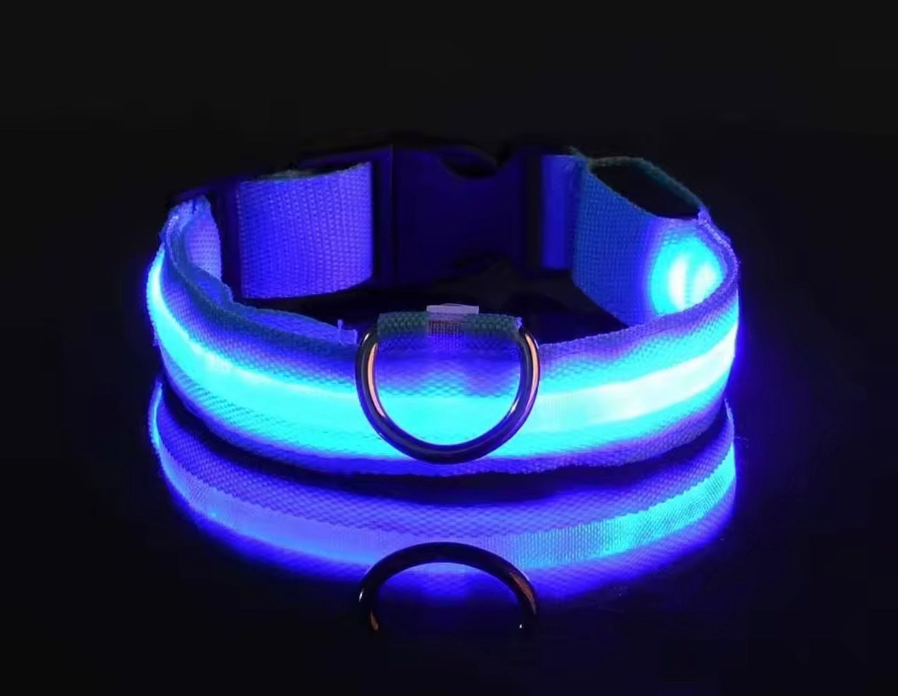 Dog Collar Nylon LED