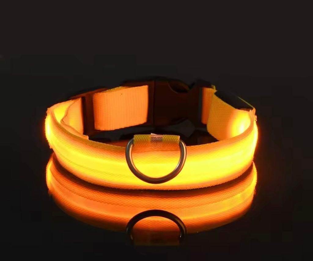 Dog Collar Nylon LED