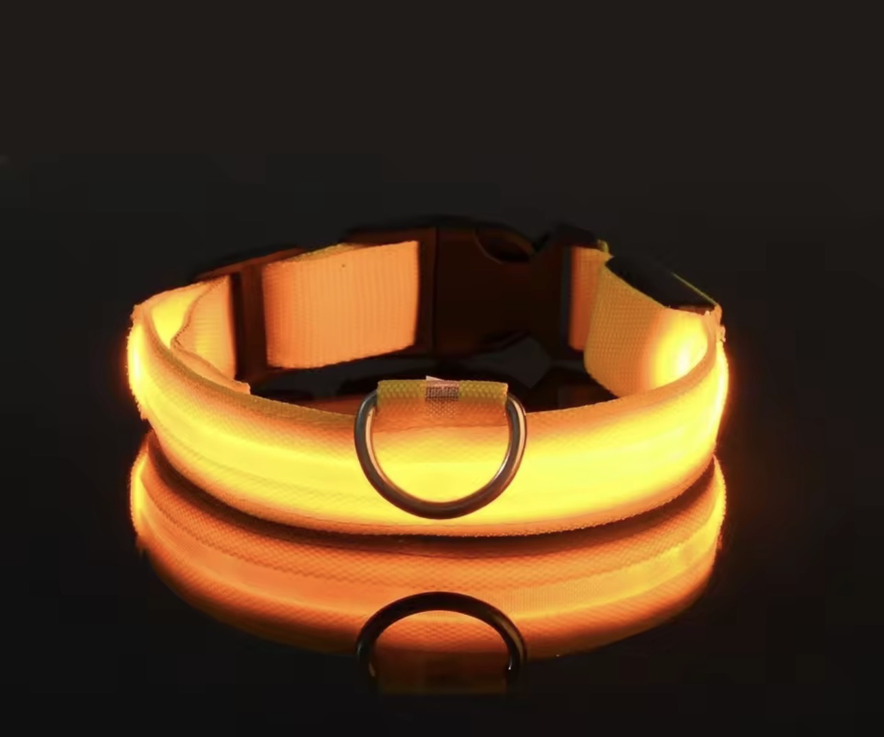 Dog Collar Nylon LED