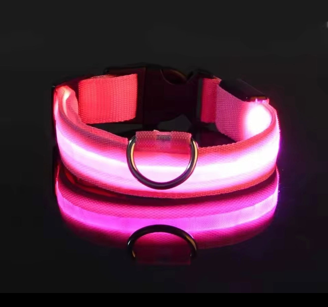 Dog Collar Nylon LED