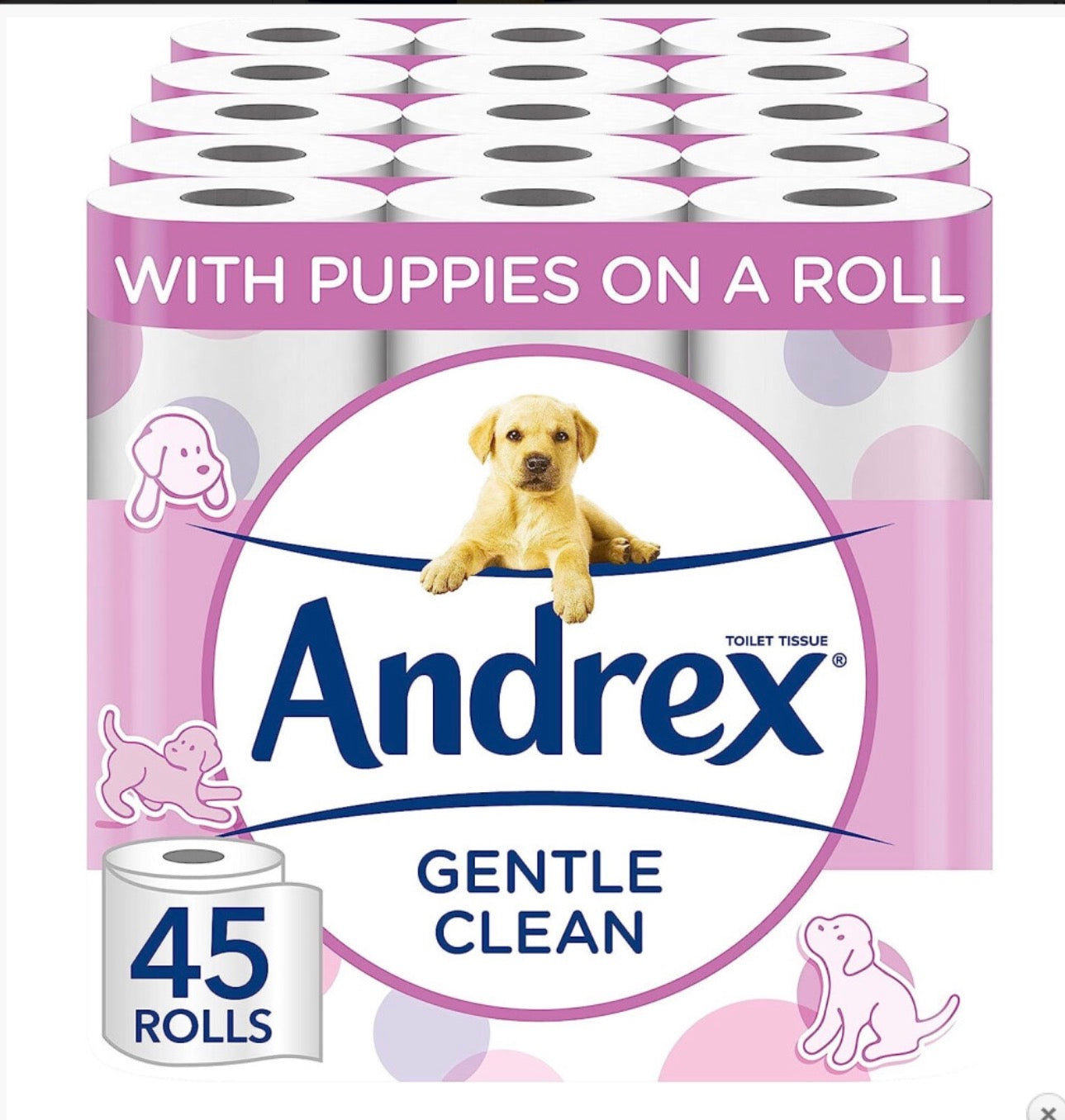 Andrex Gentle Clean Toilet Rolls - 45 Toilet Roll Pack