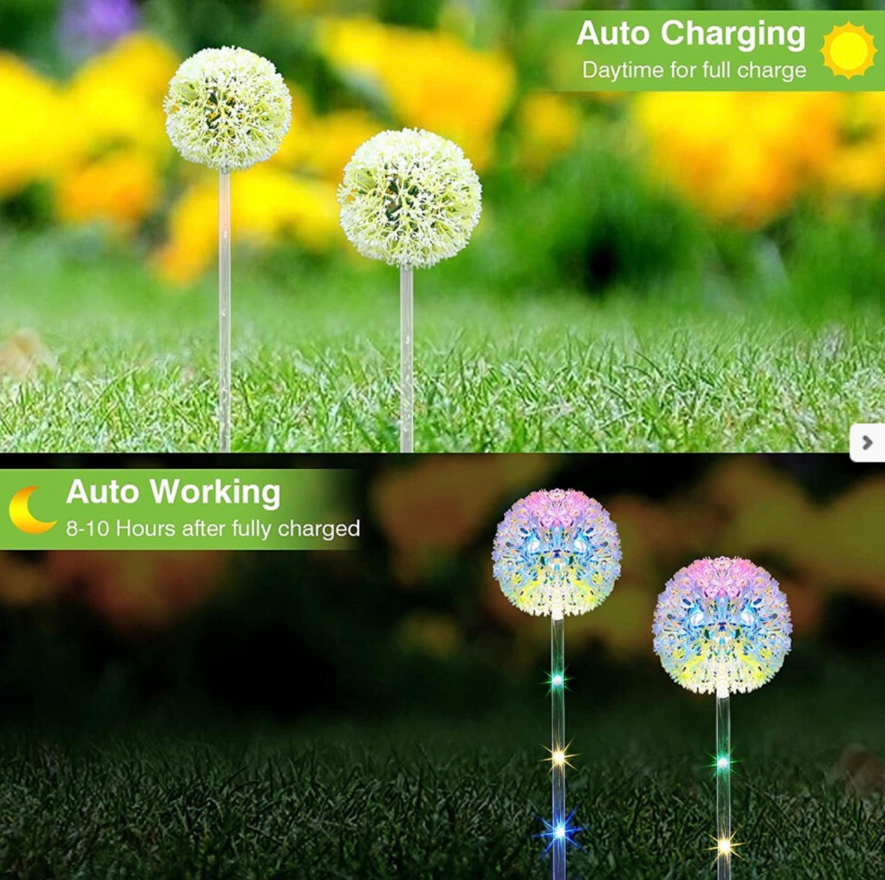 Solar Lights Outdoor Decorative Dandelion Garden with Colorful String Lights