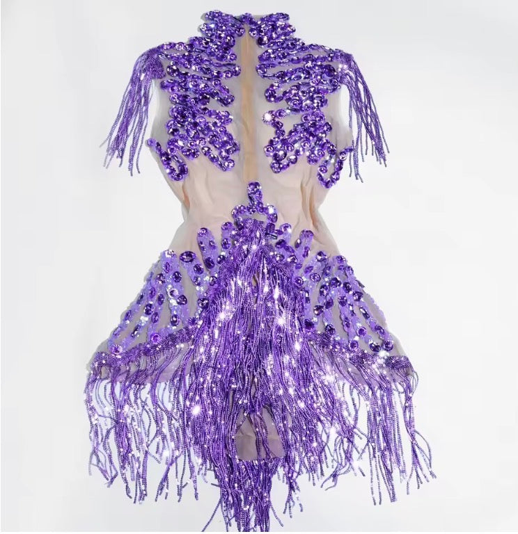 Sparkle Rhinestones Mesh Tassels Leotard Drag Queen/Dance Attire Bodysuit