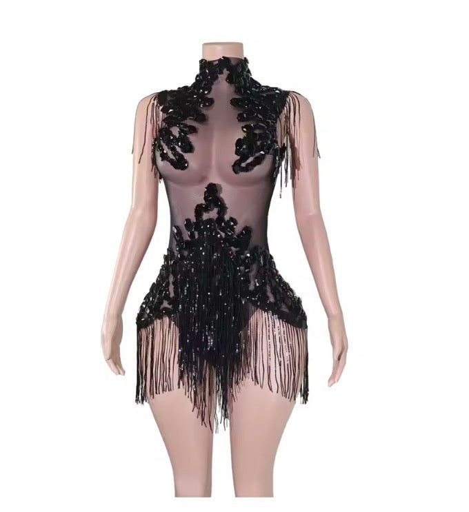 Sparkle Rhinestones Mesh Tassels Leotard Drag Queen/Dance Attire Bodysuit