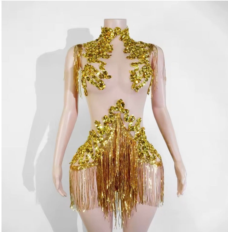 Sparkle Rhinestones Mesh Tassels Leotard Drag Queen/Dance Attire Bodysuit