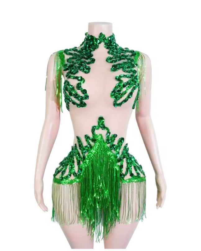 Sparkle Rhinestones Mesh Tassels Leotard Drag Queen/Dance Attire Bodysuit