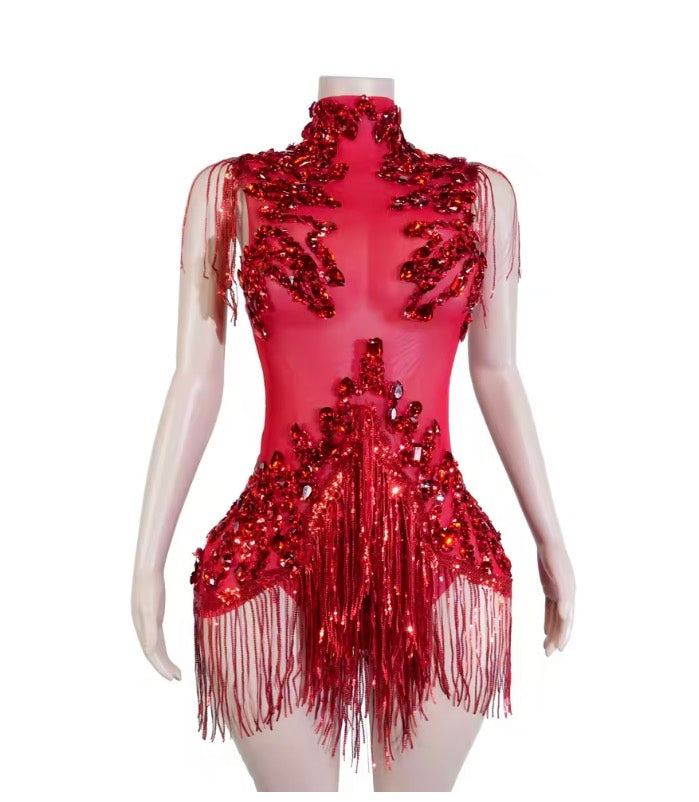 Sparkle Rhinestones Mesh Tassels Leotard Drag Queen/Dance Attire Bodysuit