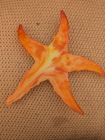 Starfish