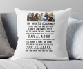 Pillow Case Gavin and Stacey