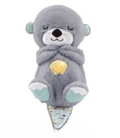 Breathing Movement Soothing Sleeping Otter