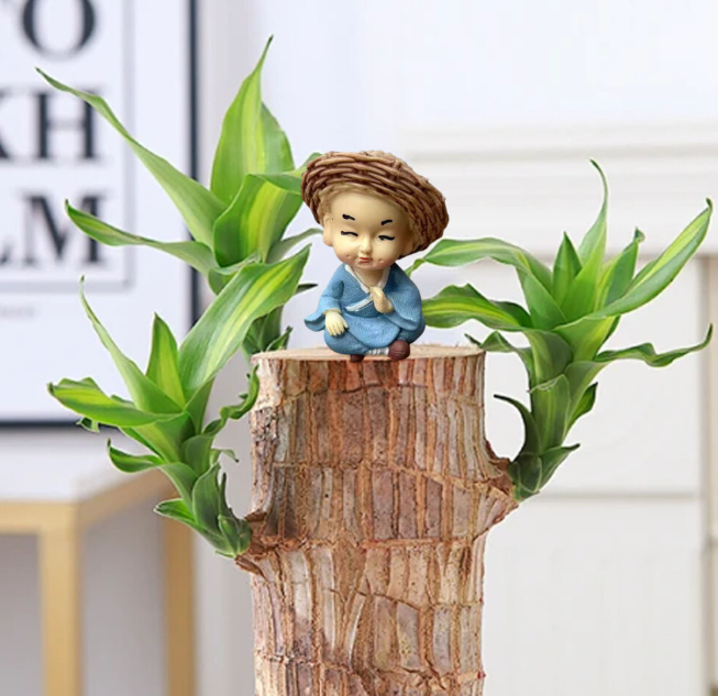 Brazilian Wood Potted Plant Decoration