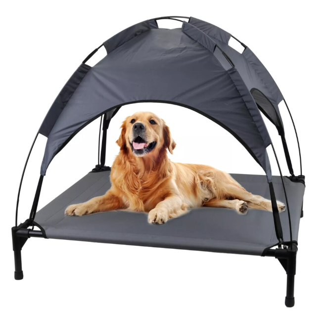 Raised Dog Bed