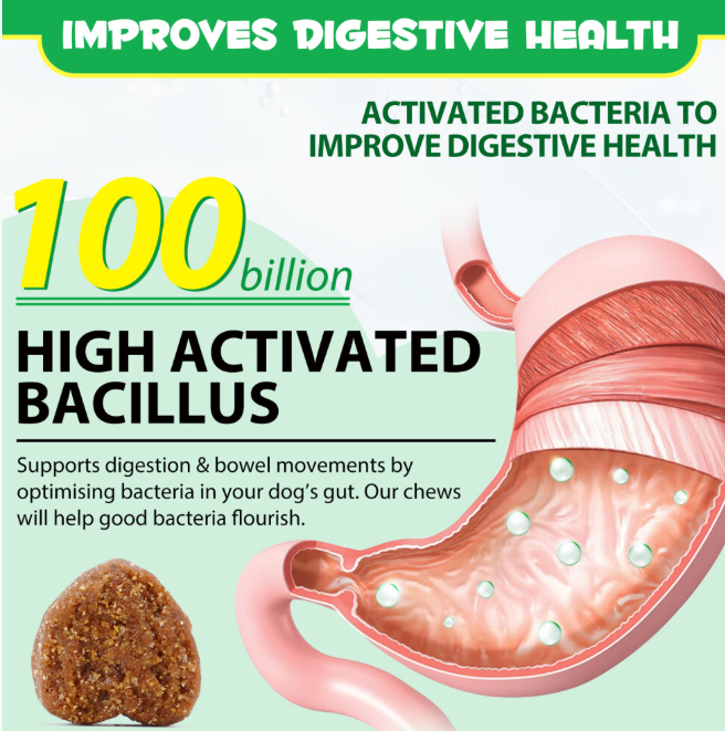 (120 Treats) Daily Pre Probiotics Food Treats Chews For Dog Healthy Digestion Gut Support