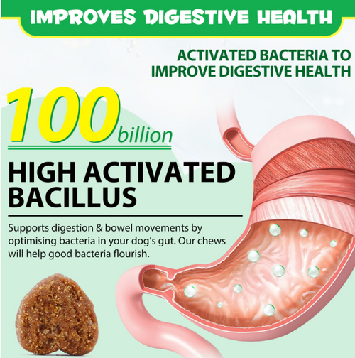 (120 Treats) Daily Pre Probiotics Food Treats Chews For Dog Healthy Digestion Gut Support