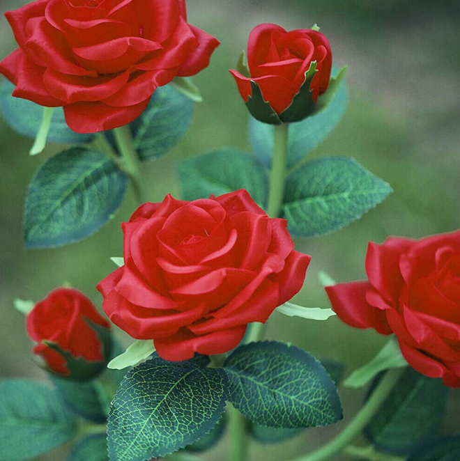LED Solar Power Red Rose Flower Stake Light