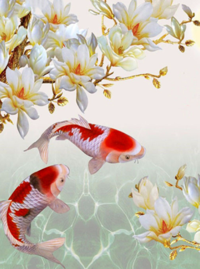 DIY 5D Full Kit Diamond Art Kits for Adults Fish Paint with Diamonds Embroidery