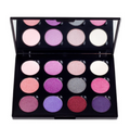 Coastal Scents Winterberry Eyeshadow Palette