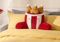 Cuddle Cushion
