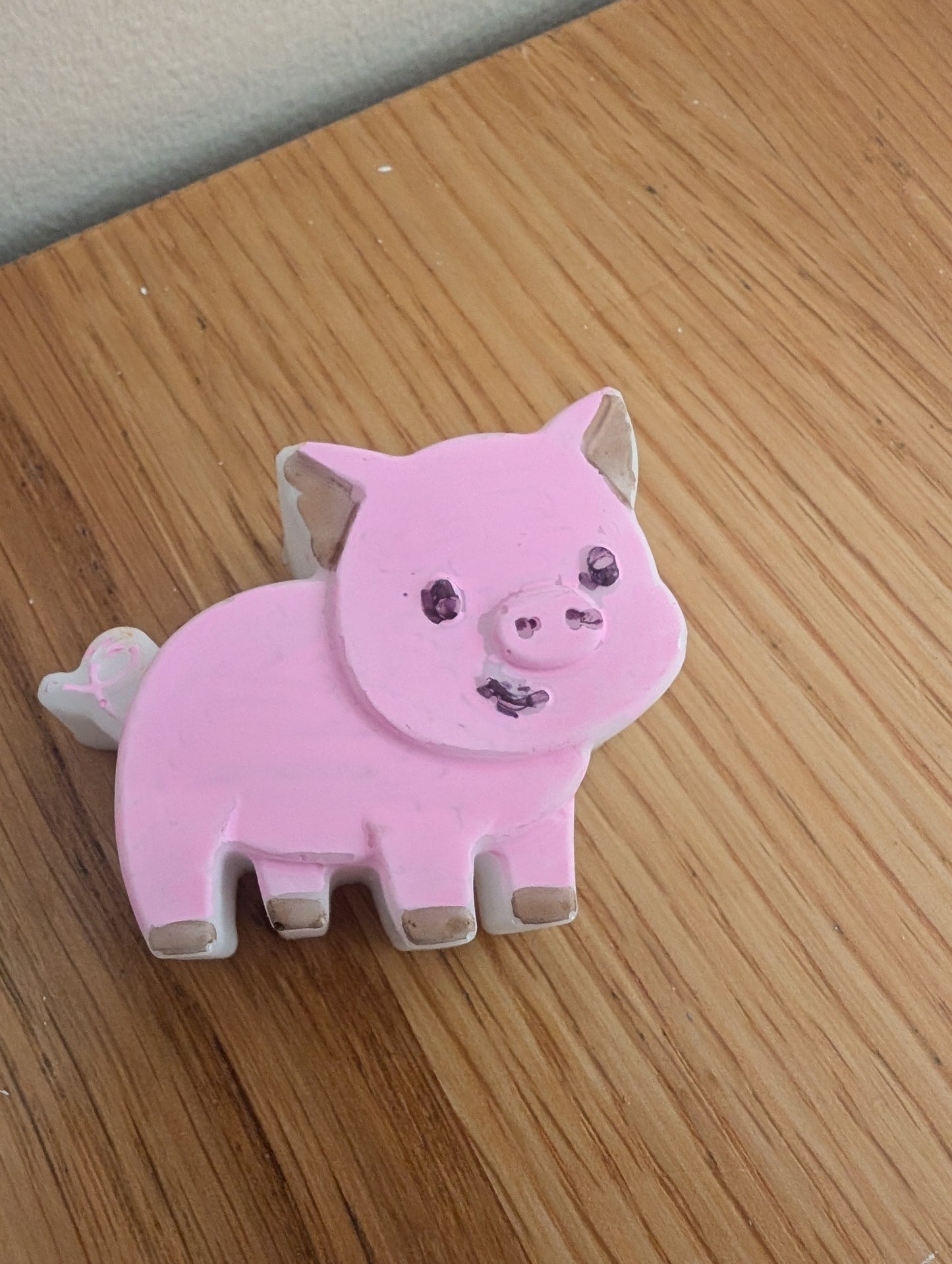 Paloma pig